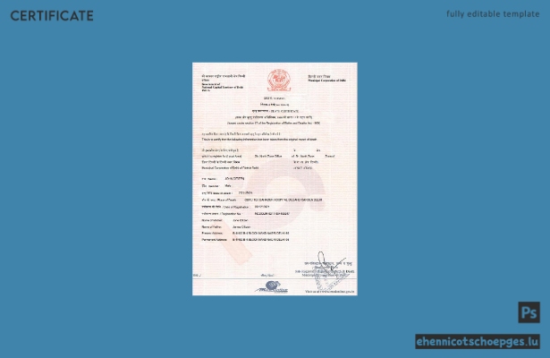 Indische Sterbeurkunde im Word- und PDF-Format – Beispielvorschau